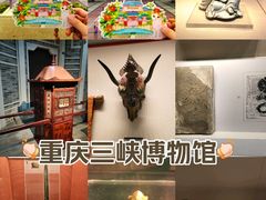 -重庆中国三峡博物馆(重庆博物馆)