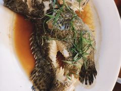 -竹林小屋(库塔店)