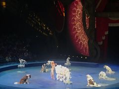 -珠海横琴长隆《卡卡虎奇遇记》