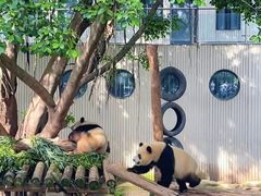 -贵州森林野生动物园