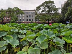 -四川大学(望江校区)
