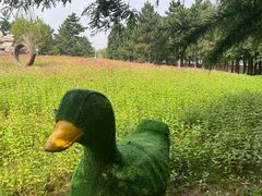 -羊亭河湿地公园