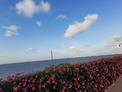 -上海滨江森林公园