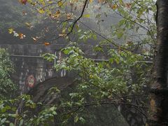 -娄山关景区