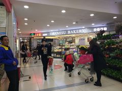 -丽莎蓓甜CAKE生日蛋糕·动物奶油(石家庄店)