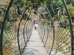 -海南热带雨林国家公园吊罗山景区