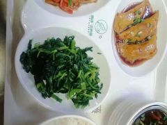 -朗诗常青藤养老(五马渡店)