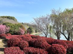 -阳澄湖半岛旅游度假区