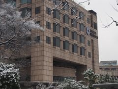 雪景-杭州君悦酒店