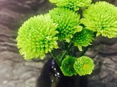 -THE WOODS 简餐 (国贸商城店)