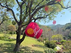 -云溪植物园