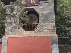 -泰山风景名胜区-普照寺