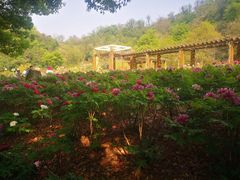 -幕燕滨江·长江观音景区