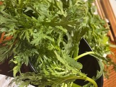 -佬土鹅肠火锅(解放路店)