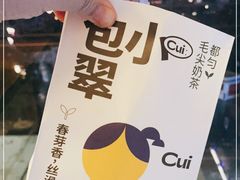 -包整·丝娃娃(一览甲秀楼风景店)