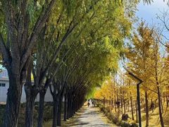 -东升八家郊野公园