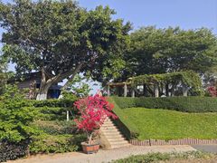 -狐尾山公园