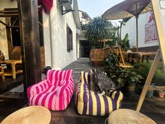 -老地方猫儿面(磁器口店)