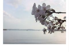 -东湖生态旅游风景区