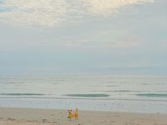 -石螺口海滩