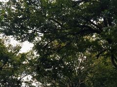 -南湾湖