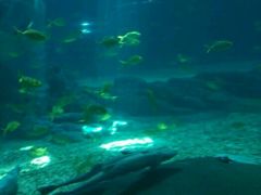 -福州罗源湾海洋世界旅游区