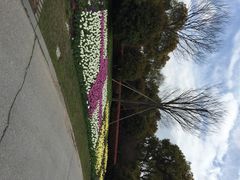 上海鲜花港-上海鲜花港