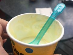 -莓园冰淇淋店