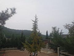 -开元溶洞