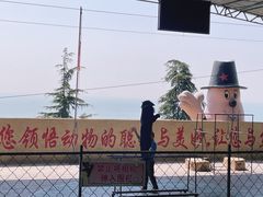 -东方熊牧场