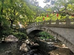 -广州市石门国家森林公园