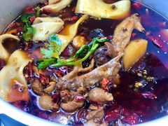 -晓彭肥肠鸡·泡椒鸡火锅(水木天地店)