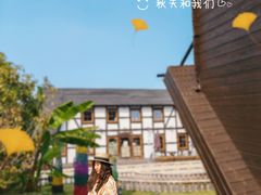 -金山农民画村-枫泾波兰倒置屋