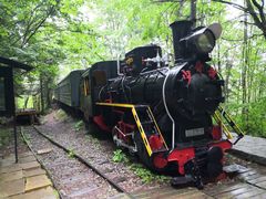 -五营红松林海景区