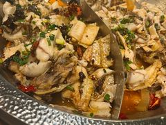 -百岁鱼(七一路店)