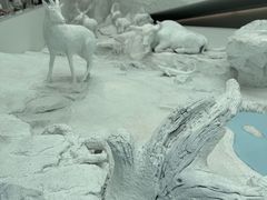 -中国湿地博物馆