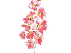 -八哥美术·成人美术画室(总校区)