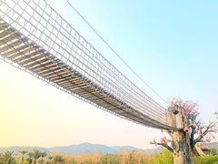 -天适樱花悠乐园