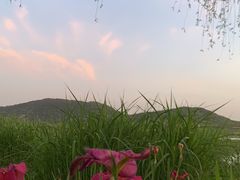 -江阴敔山湖公园