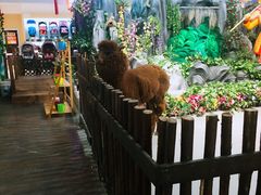 -开元商城(西旺店)