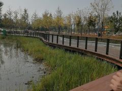 -东郊湿地公园