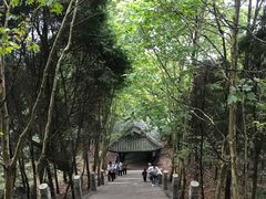 -窦圌山风景区
