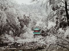 -岳麓山风景名胜区