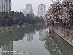 -成都市活水公园