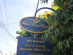 -Fern Forest Cafe