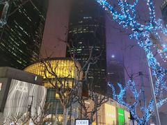 -上海波特曼丽思卡尔顿酒店