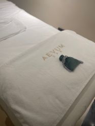 -奥斯芬欧系贵族SPA