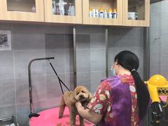 -宠福鑫康馨动物医院·骨科·眼科