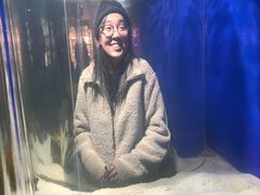 -大连圣亚海洋世界