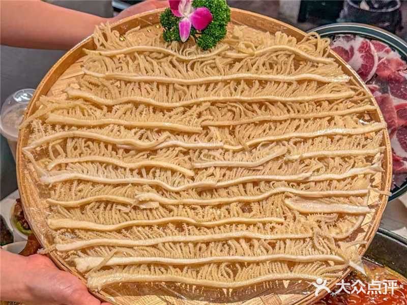 舍下火锅：味蕾的奇幻冒险，一口就爱到疯狂！